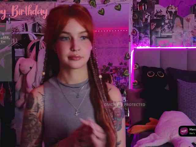 LisLy webcam