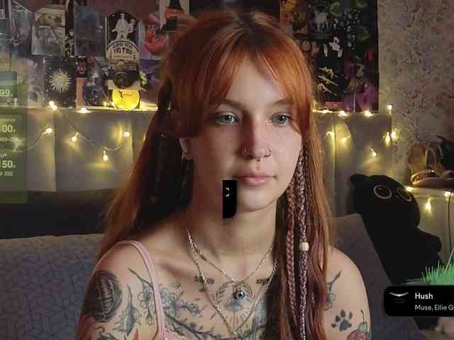 LisLy webcam