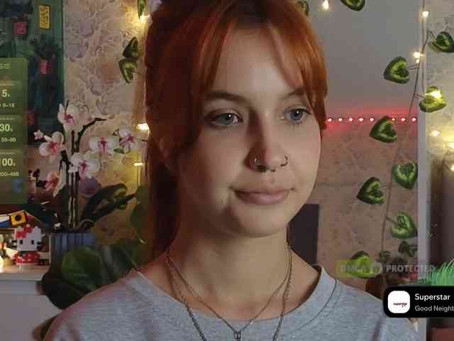 LisLy webcam