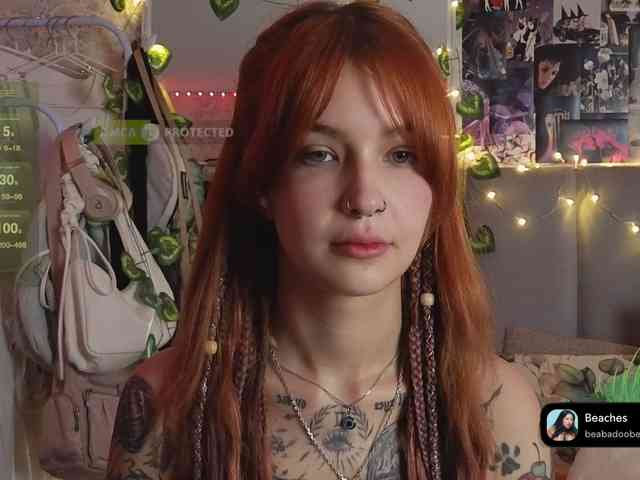 LisLy webcam