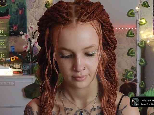 LisLy webcam