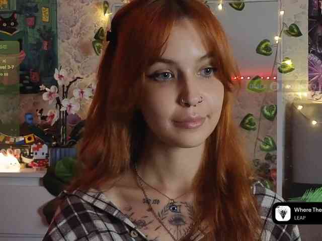 LisLy webcam