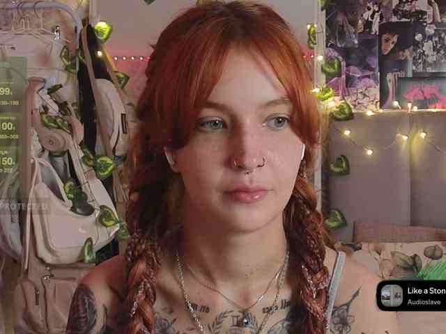 LisLy webcam