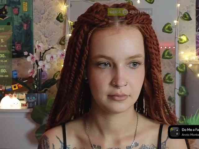 LisLy webcam