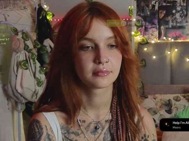 LisLy webcam