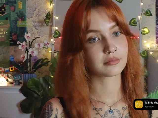 LisLy webcam