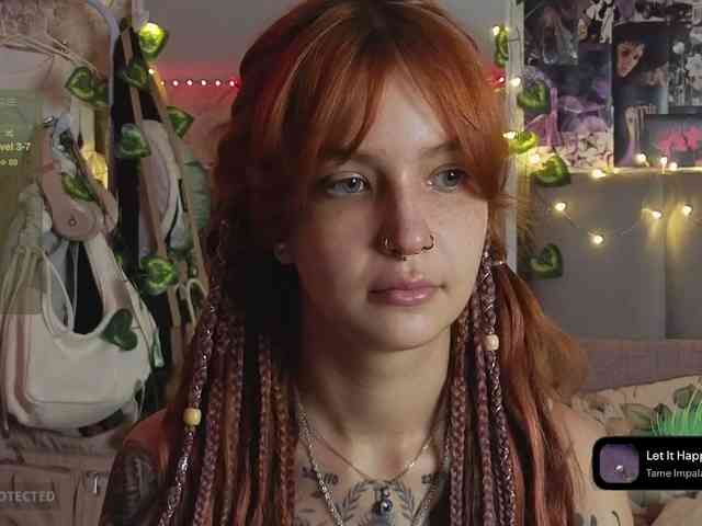 LisLy webcam