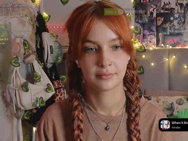 LisLy webcam