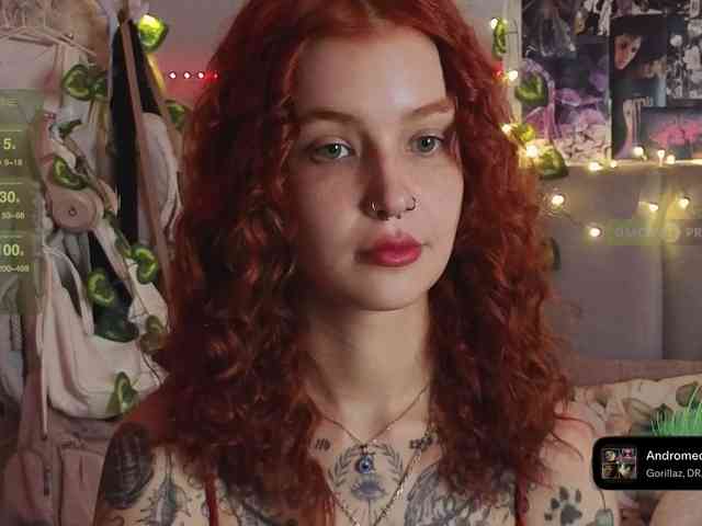 LisLy webcam