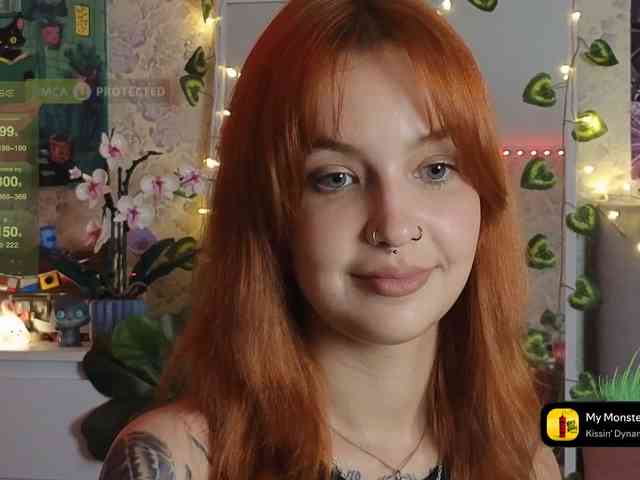 LisLy webcam