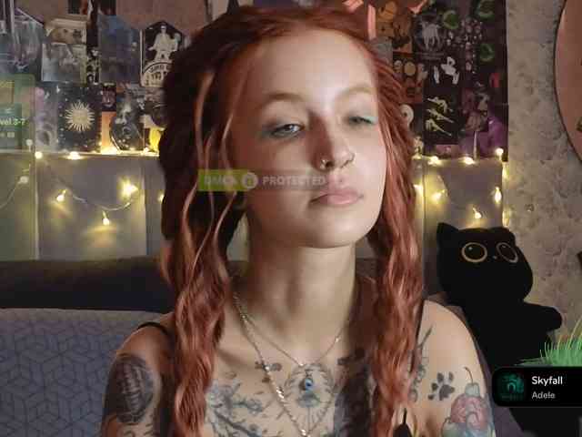 LisLy webcam