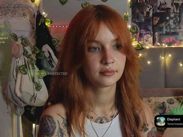 LisLy webcam