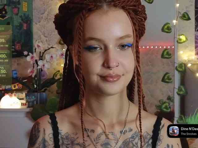 LisLy webcam