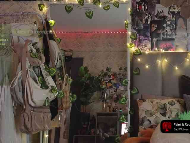 LisLy webcam