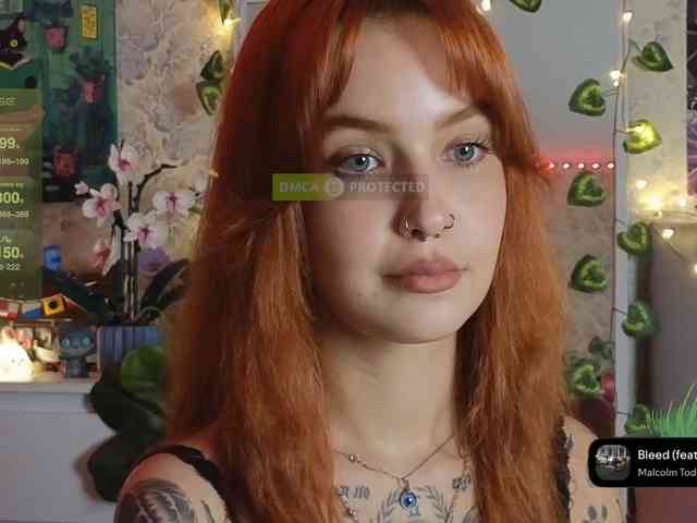 LisLy webcam