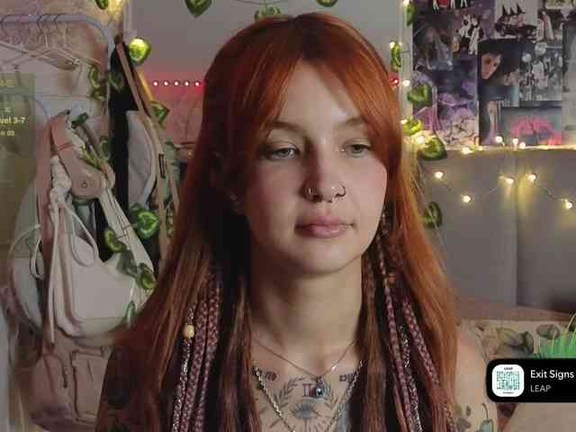 Модель: LisLy