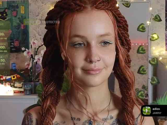 LisLy webcam