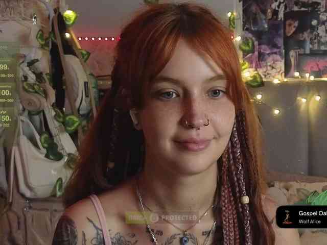 LisLy webcam