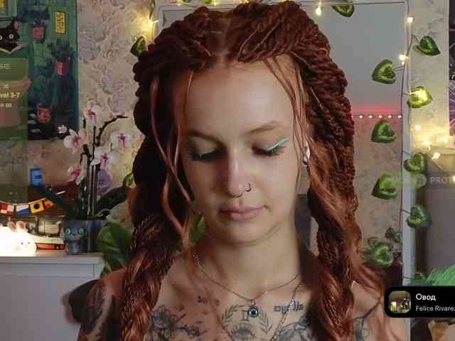 LisLy webcam
