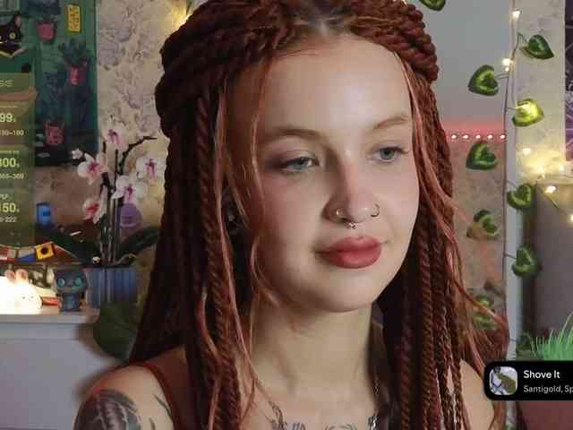 LisLy webcam