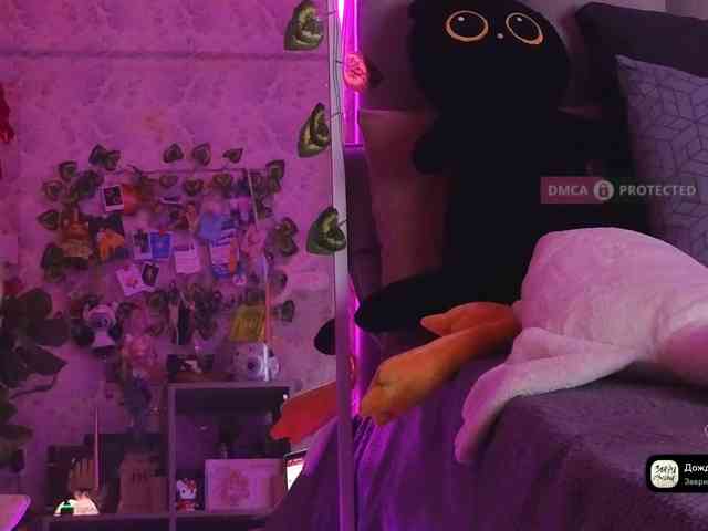 LisLy webcam