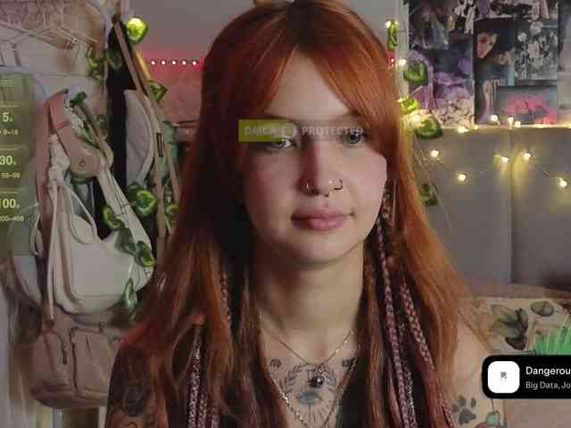 LisLy webcam