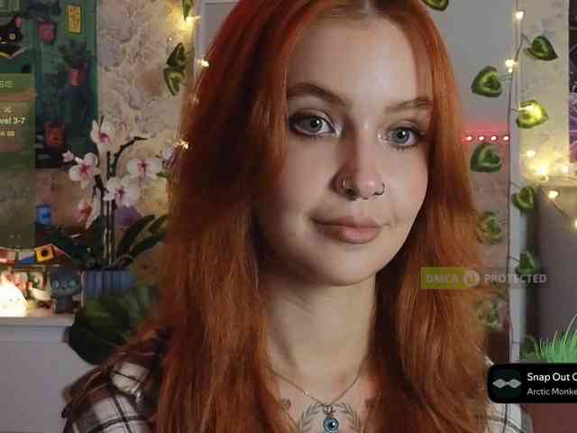 LisLy webcam