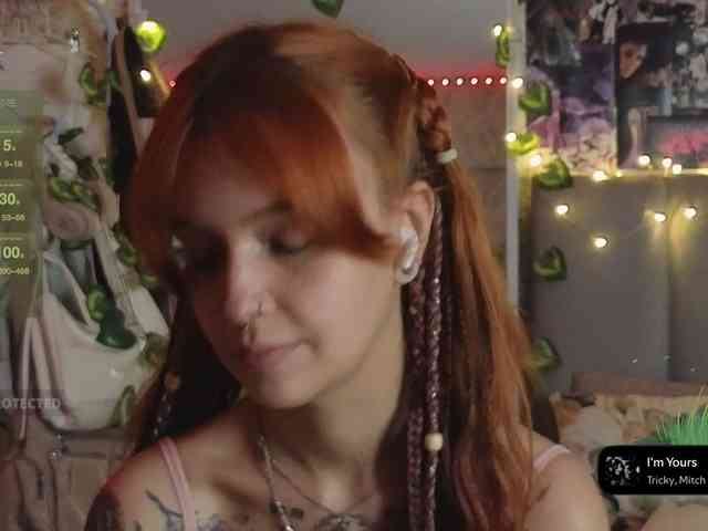LisLy webcam