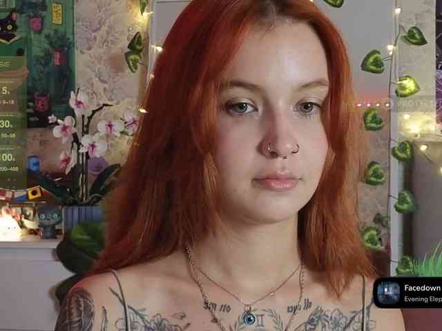 LisLy webcam