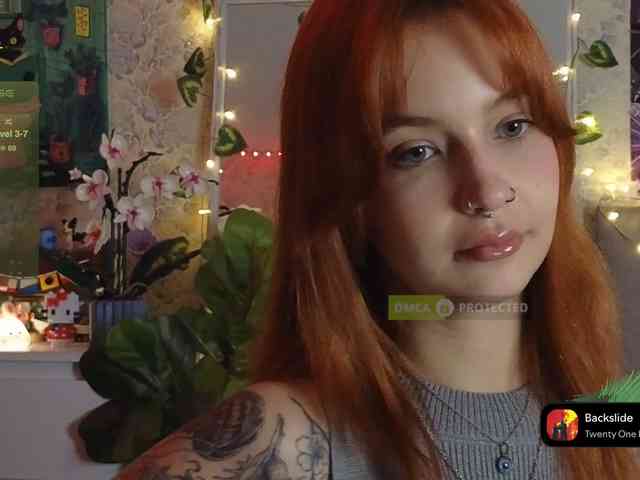 LisLy webcam