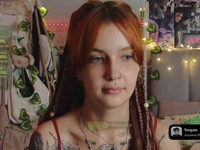 LisLy webcam