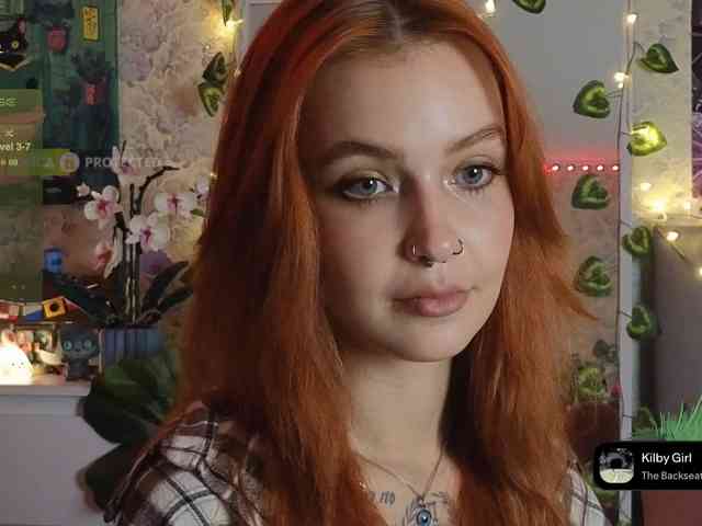 LisLy webcam