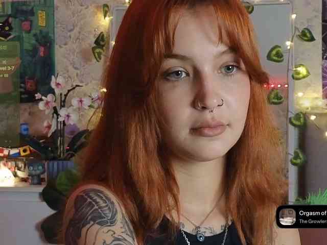 LisLy webcam