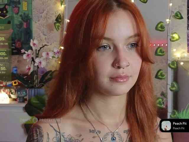 LisLy webcam