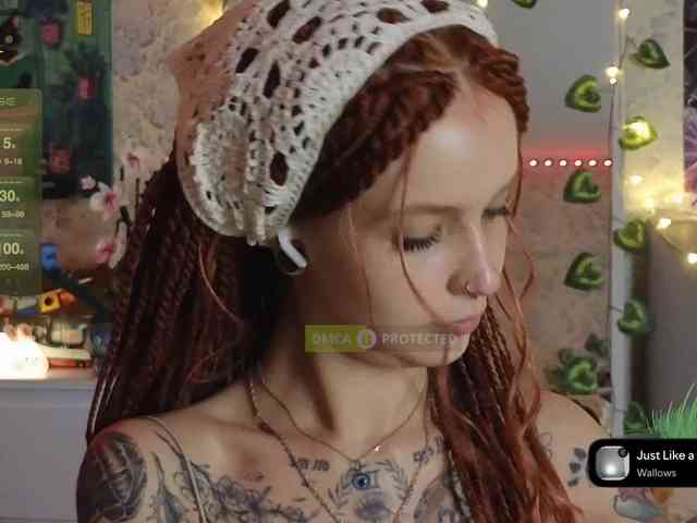 LisLy webcam