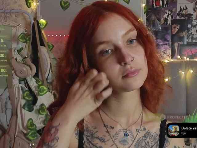 LisLy webcam