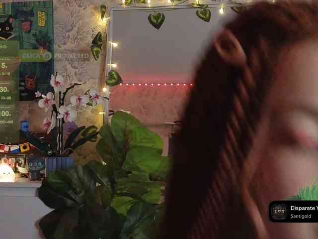 LisLy webcam