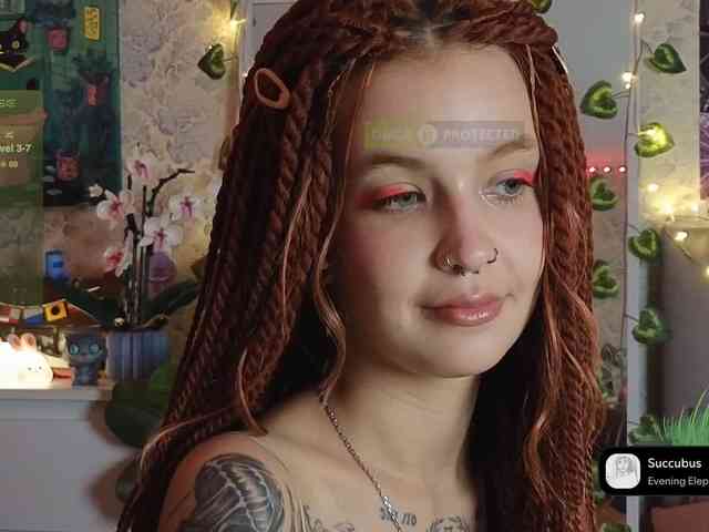 LisLy webcam