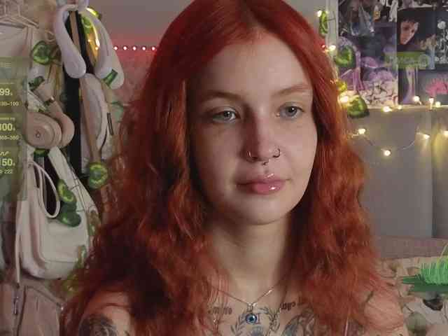 LisLy webcam
