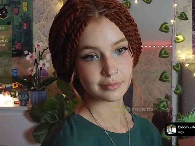 LisLy webcam