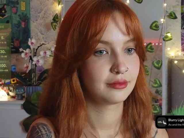 LisLy webcam