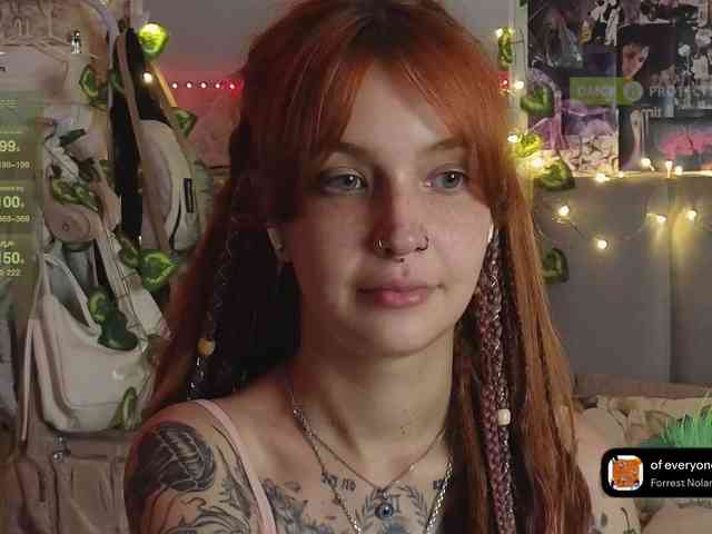 LisLy webcam