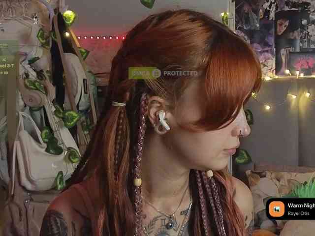 LisLy webcam