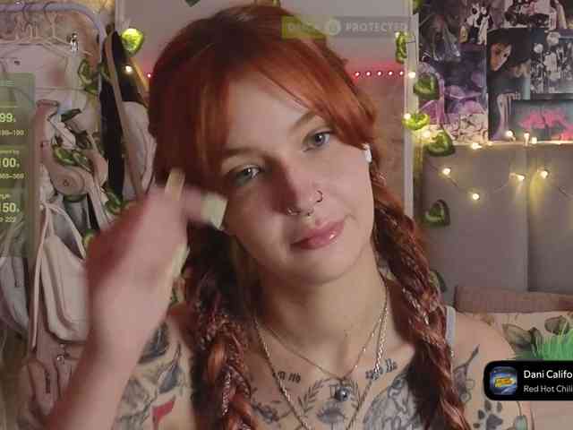 LisLy webcam
