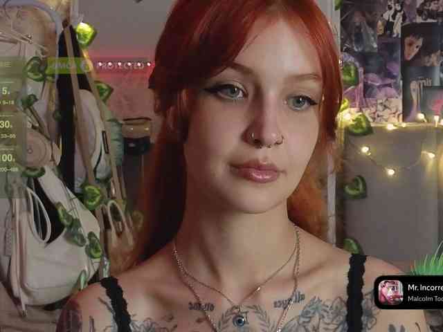 LisLy webcam