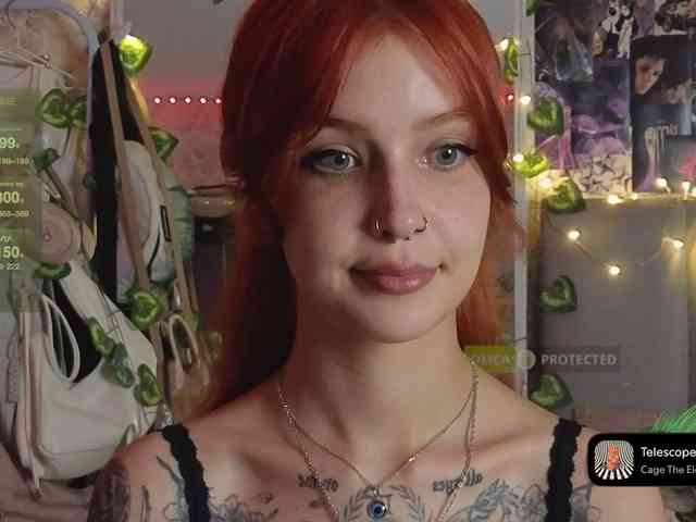 LisLy webcam