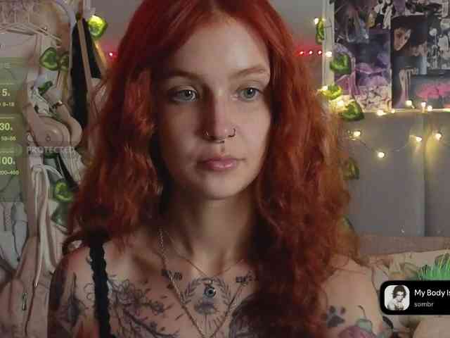 LisLy webcam
