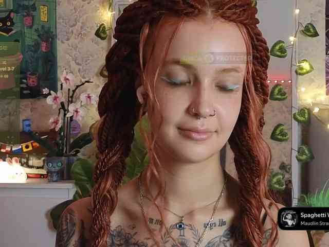 LisLy webcam