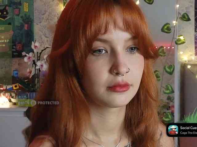 LisLy webcam