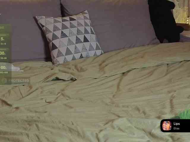 LisLy webcam